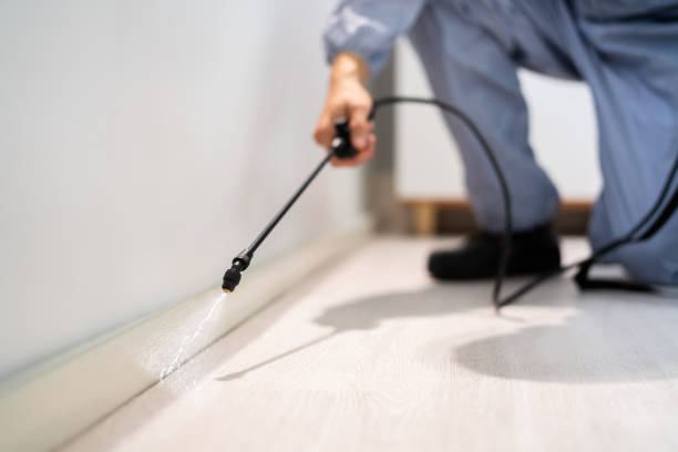 Licensed Termite Control service in Romeo, MI - Nex Pest Control