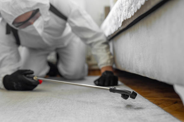 Professional Termite Control technician working in Romeo, MI