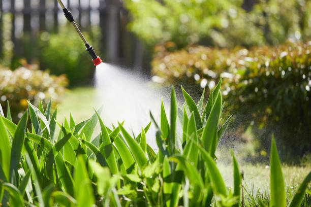 24/7 Emergency Termite Control experts in Romeo, MI