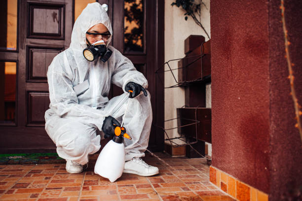 Reliable Termite Control contractor in Romeo, MI by Nex Pest Control