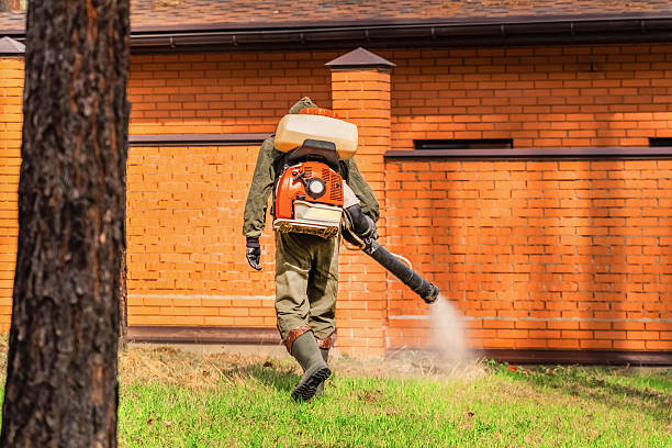Top rated local Termite Control specialists in Romeo, MI